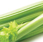 Picture of Fresh Celery